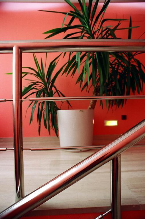 Sercotel San Jose Albacete Interiér fotografie